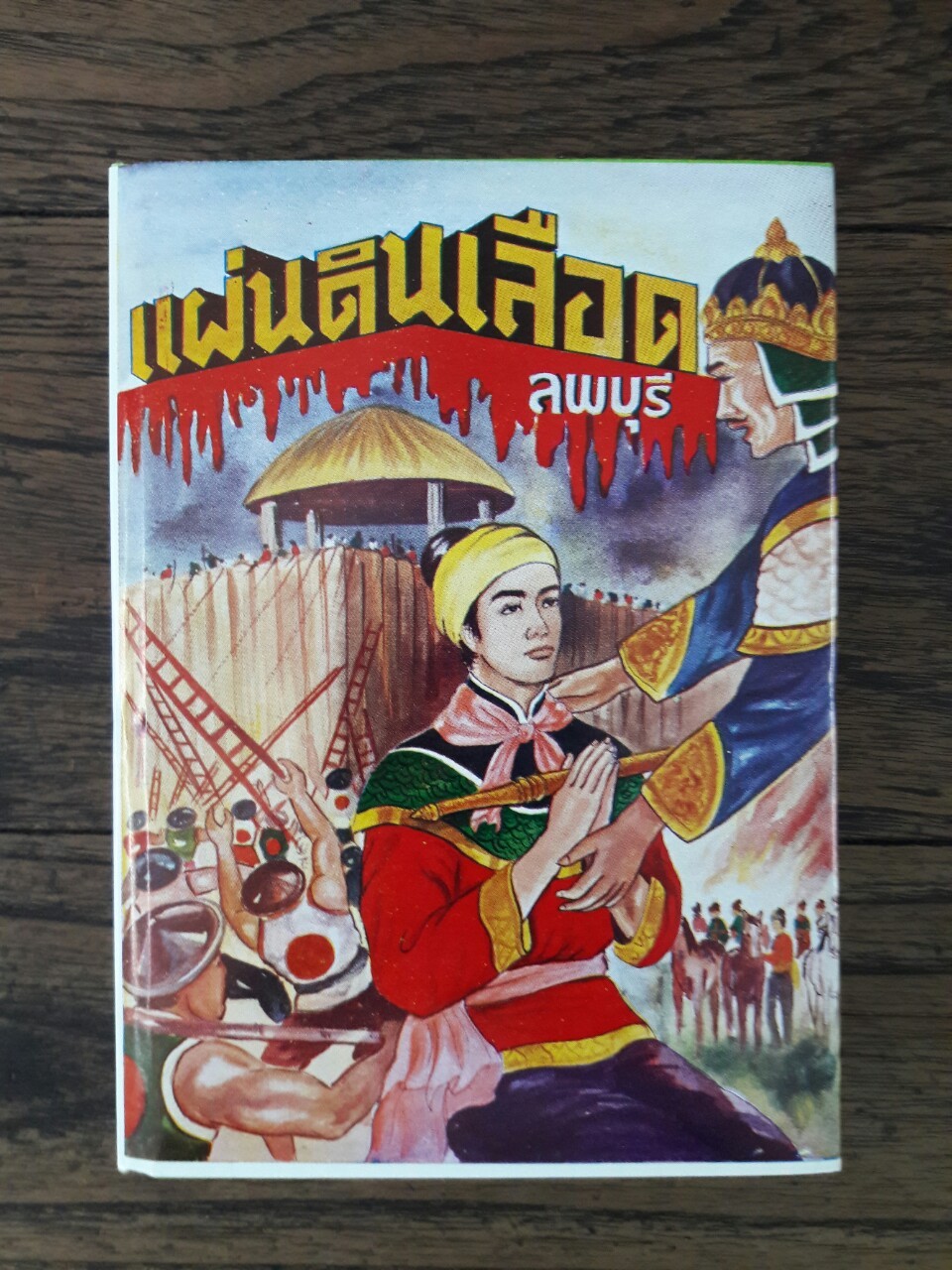 แผ่นดินเลือด (8 เล่มจบ)