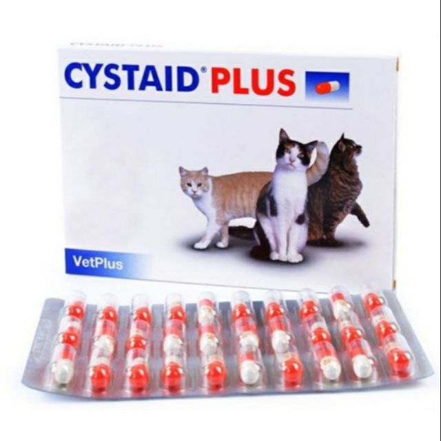 Cystaid plus 30 แคปซูล อาหารเสริมโปรตีนเสริมความแข็งแรงของกระเพาะปัสสาวะ