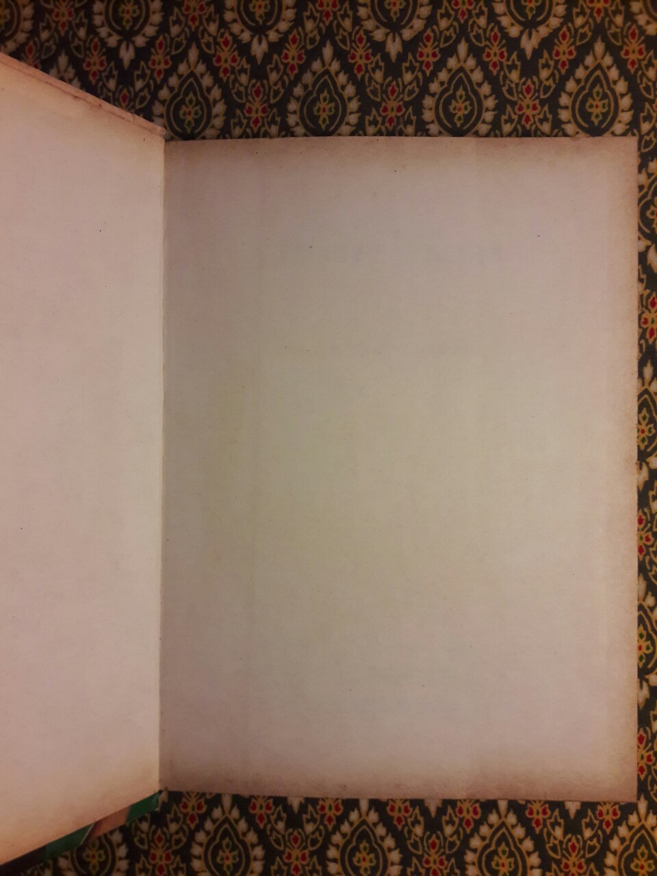 เข็ดจริงๆ ให้ดิ้นตาย