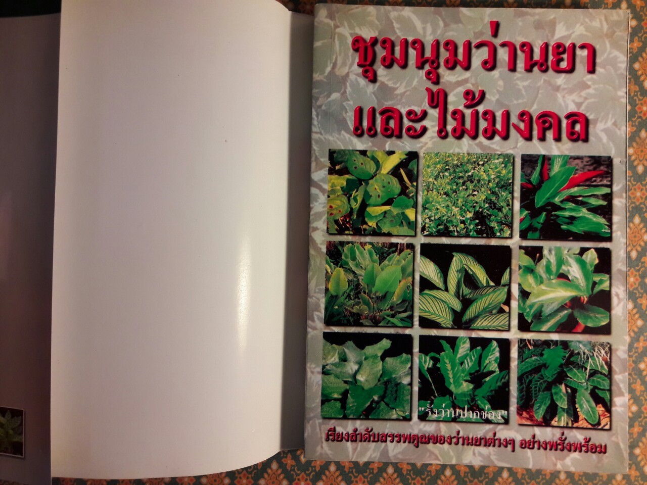 ชุมนุมว่านยาและไม้มงคล