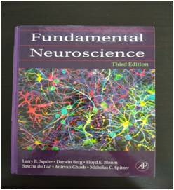 Fundamental Neuroscience