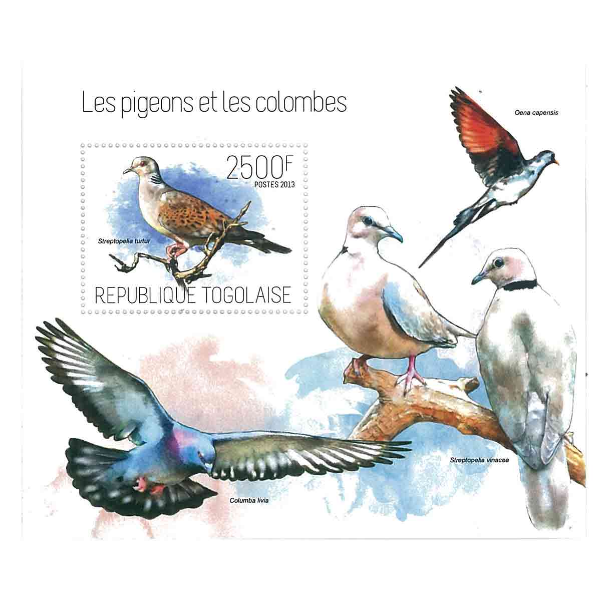 Togo Stamp, 2013 Pigeons and Doves, Bird, Wildlife, Animals S/S