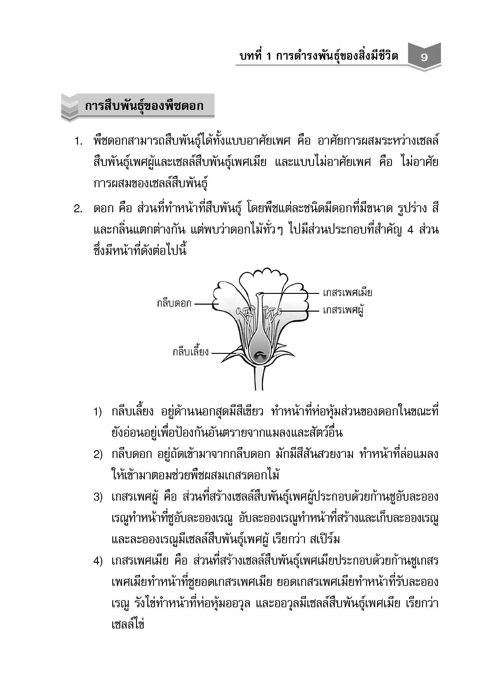 สรุปเข้ม วิทยาศาสตร์ ป.5