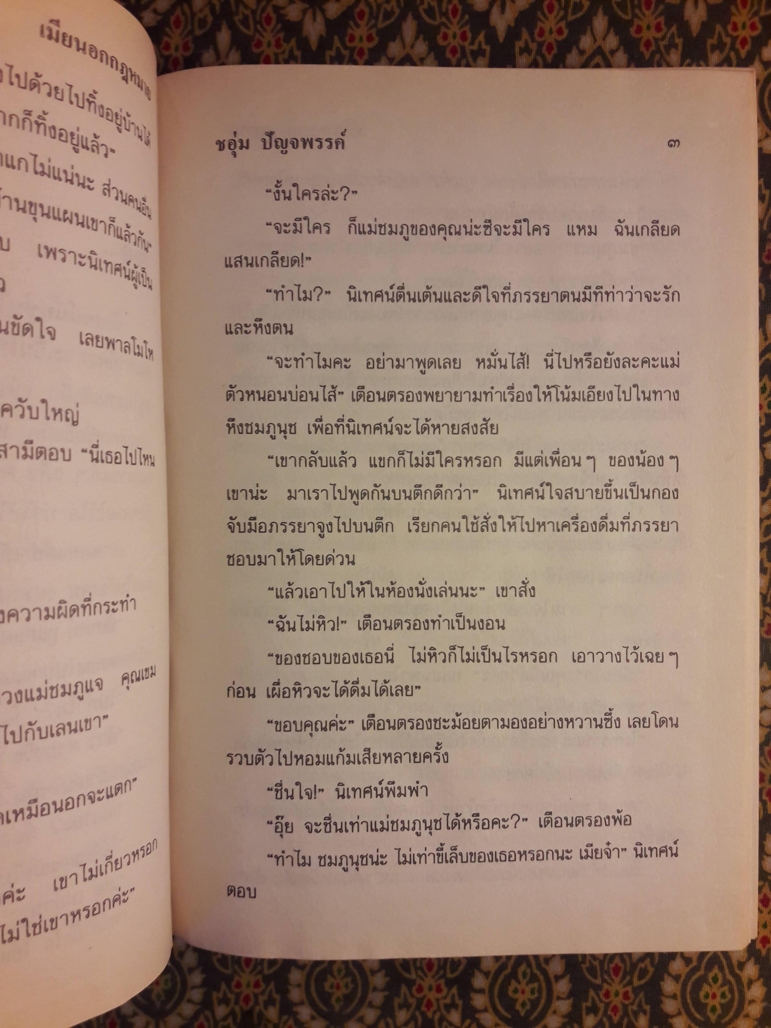 เมียนอกกฎหมาย (2 เล่มจบ)