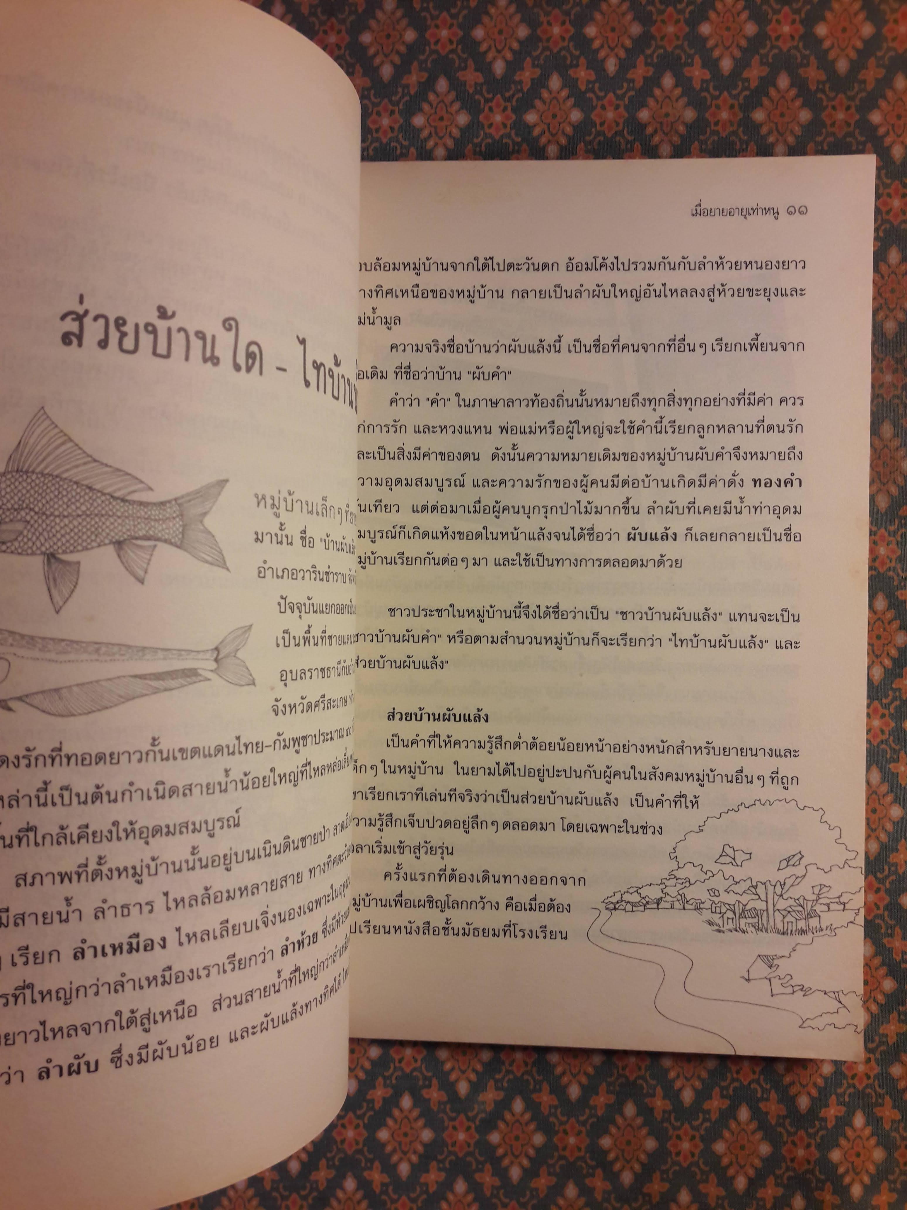 เมื่อยายอายุเท่าหนู