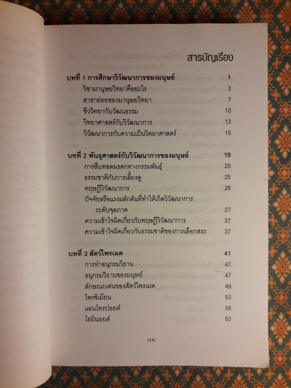 รากเหง้าเผ่าพันธุ์มนุษย์ วิวัฒนาการทางชีววิทยาและวัฒนธรรม