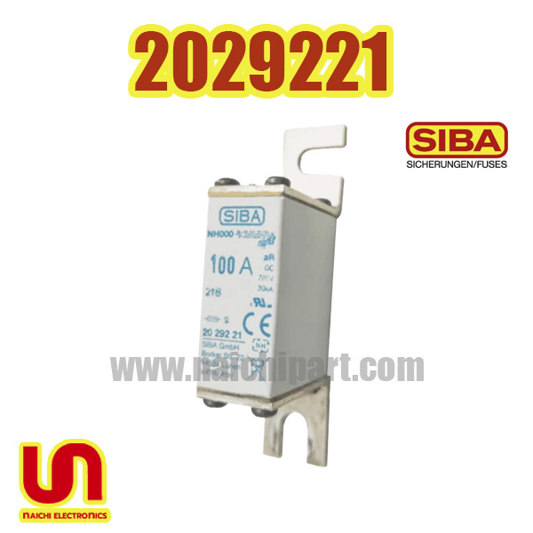 SIBA 2029221 100A 700VDC NH000