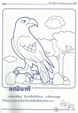 โลกแห่งการ์ตูน สัตว์ปีก