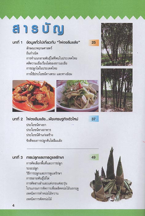 คู่มือการปลูกและขยายพันธุ์ ไผ่ตงลืมแล้ง