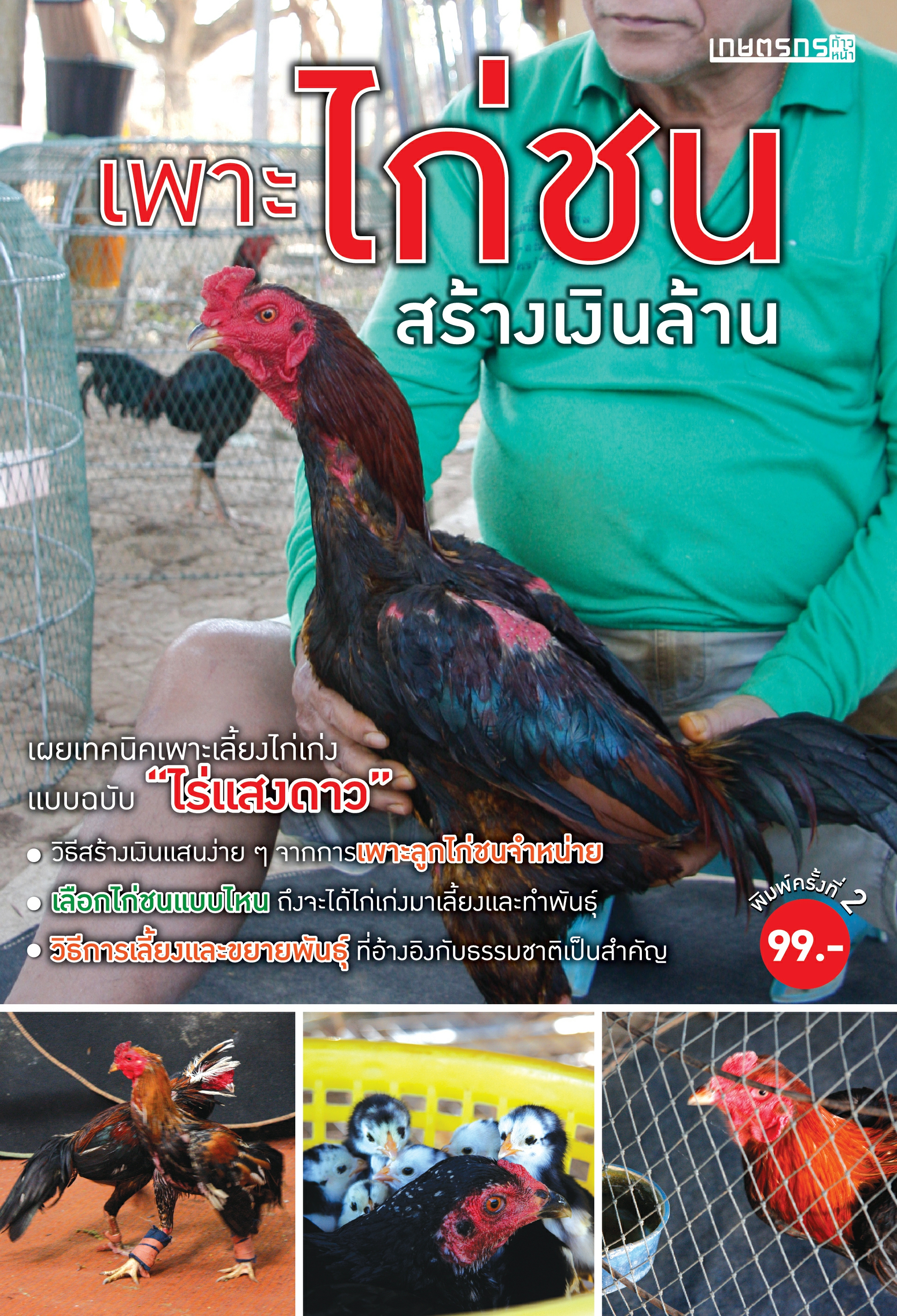 เพาะไก่ชนสร้างเงินล้าน