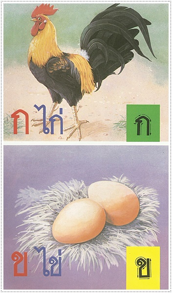 หัดอ่าน ก.ไก่ - คละปก