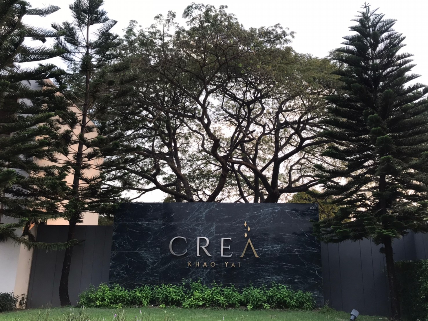 โครงการครีเอ้ (CREA) เขาใหญ่