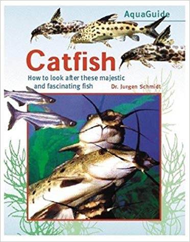 Catfish: How to Look After These Attractive and Fascinating Fishes ISBN 9781842860847
