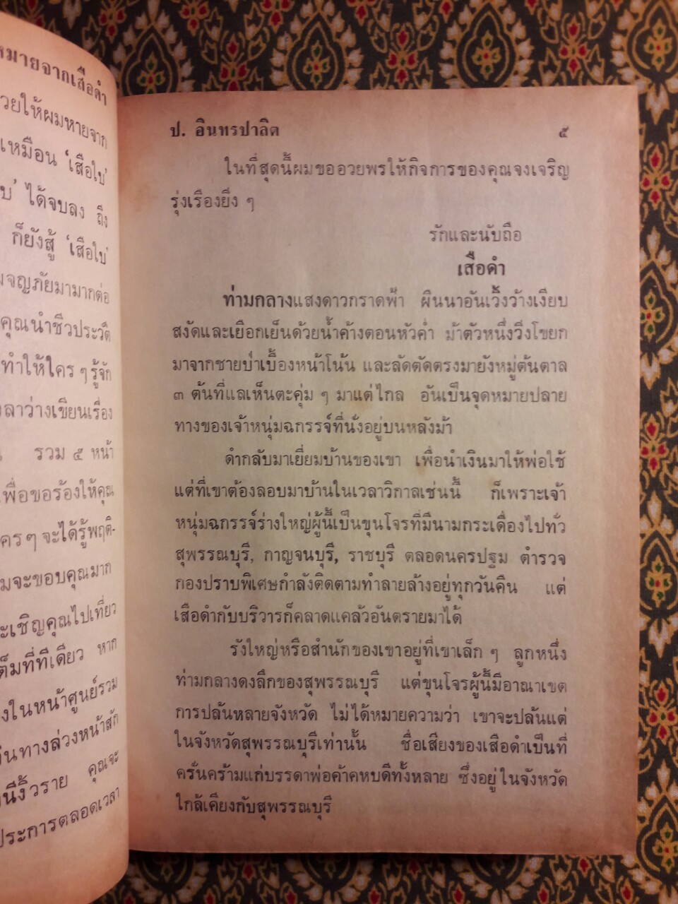 เสือดำ (เล่ม 1)