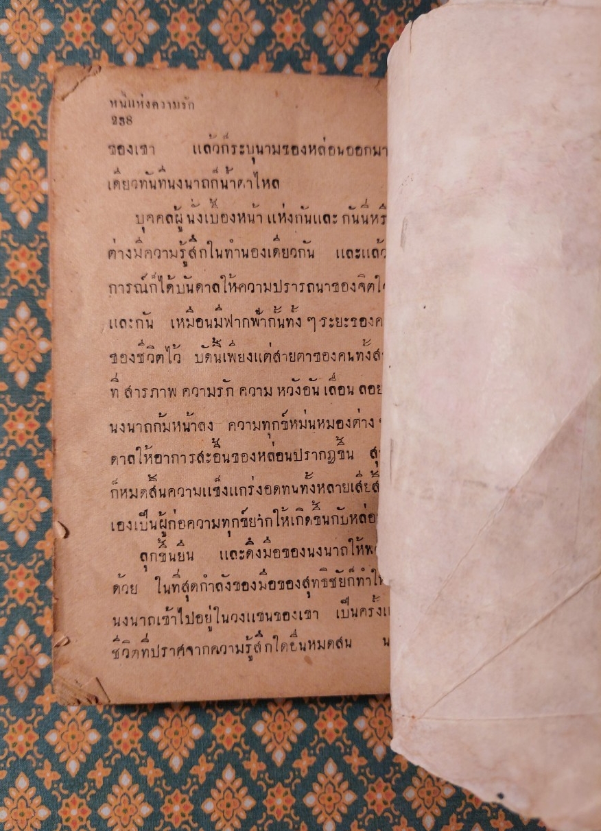 หนี้แห่งความรัก (เล่มจบ)