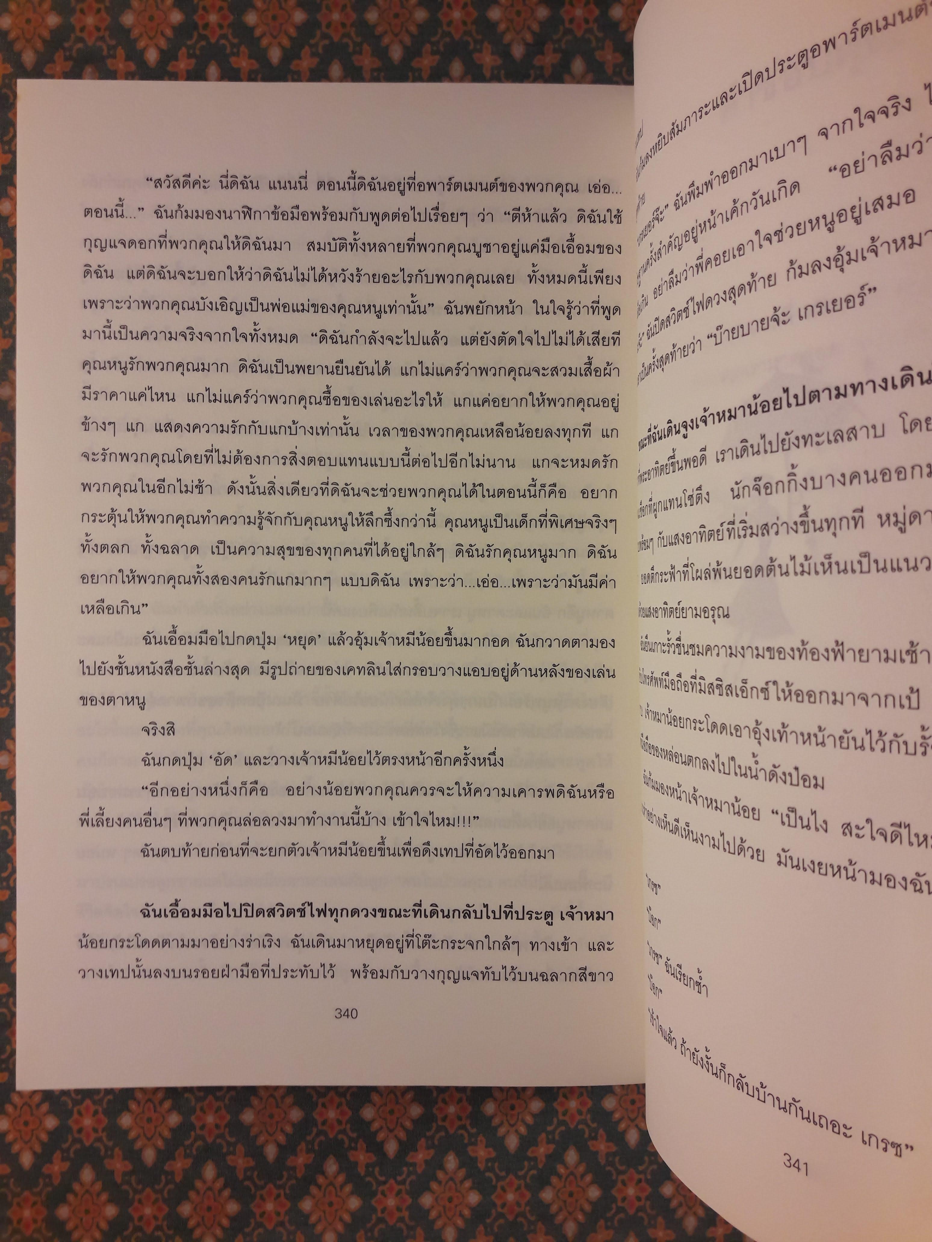 ไดอารี่ของแนนนี่ The Nanny Diaries