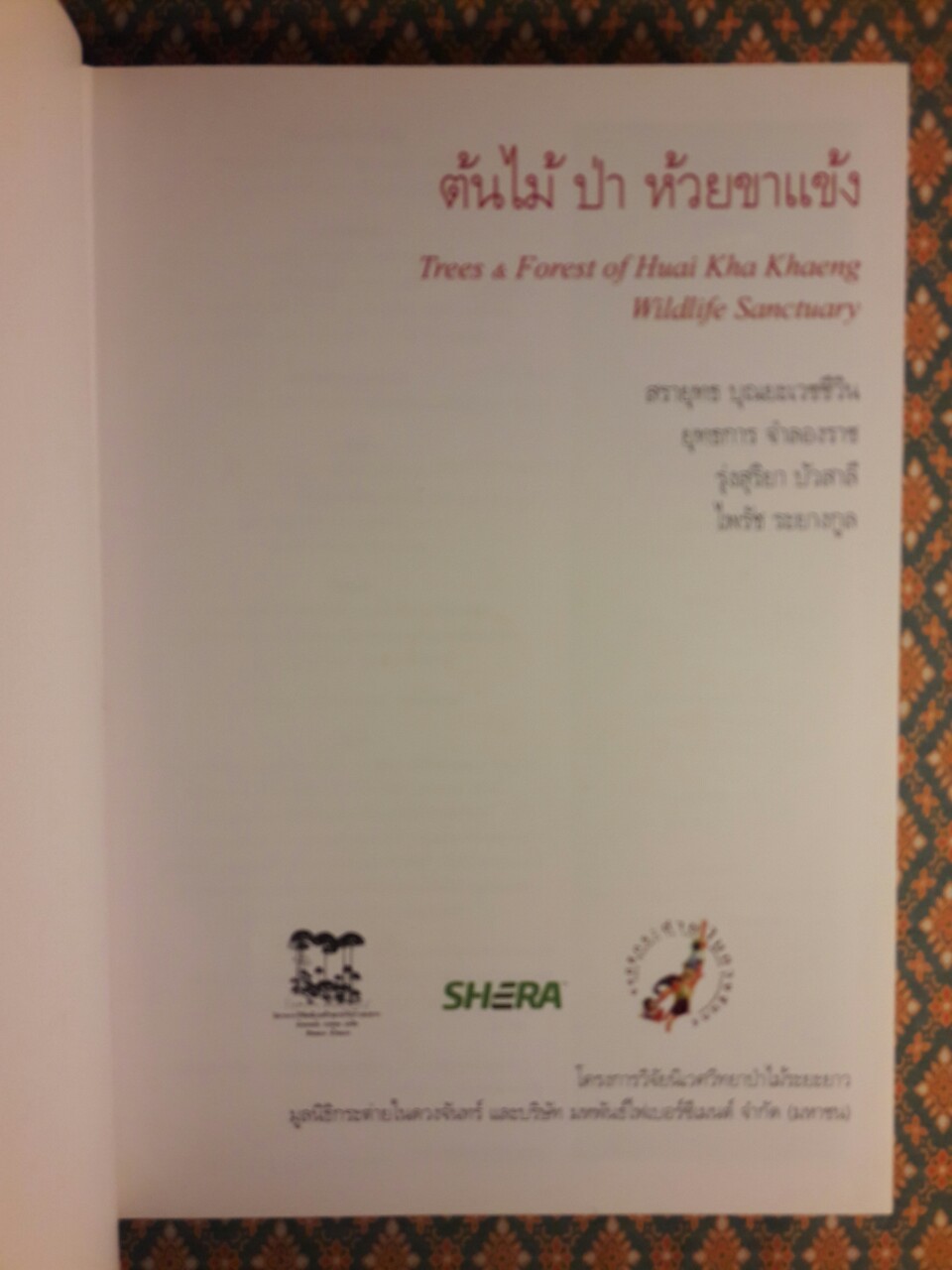 ต้นไม้ ป่า ห้วยขาแข้ง