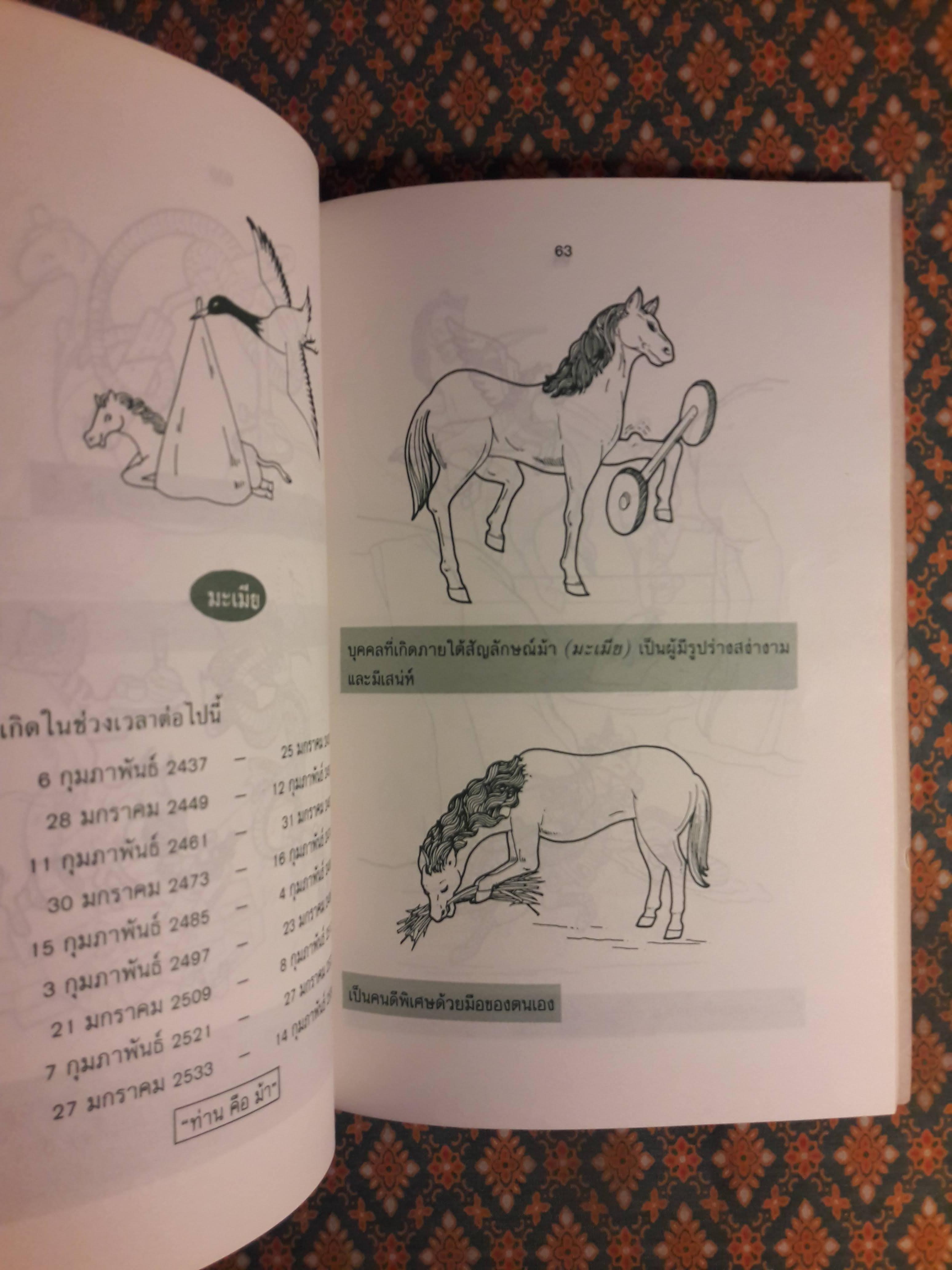 สนุกกับนักษัตรจีน