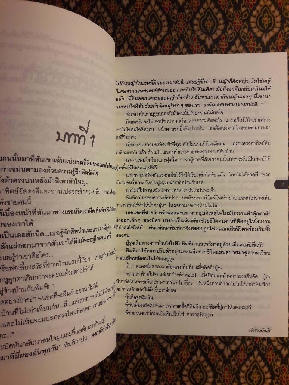 เจ้าสาวบ้านไร่