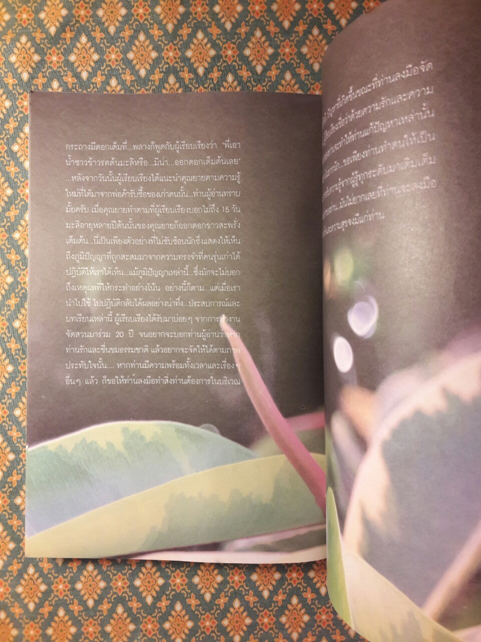 พันธุ์ไม้ในงานจัดสวน