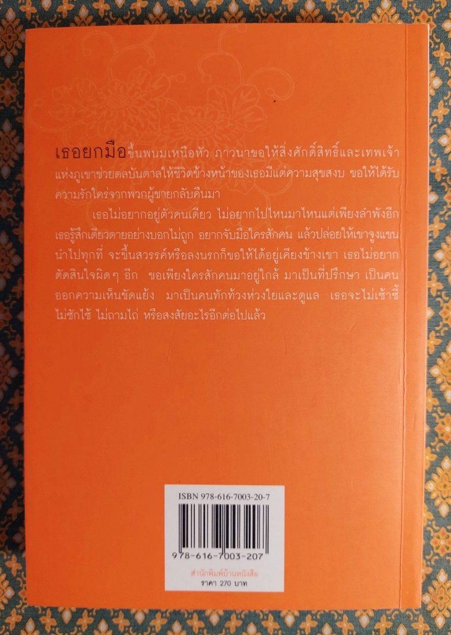 เวียดนามตามลำพัง