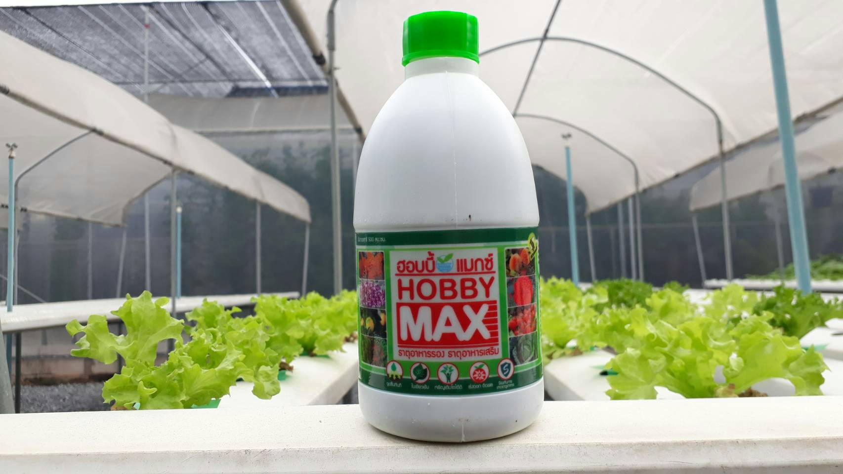 อาหารเสริม HOBBY MAX 500 cc.