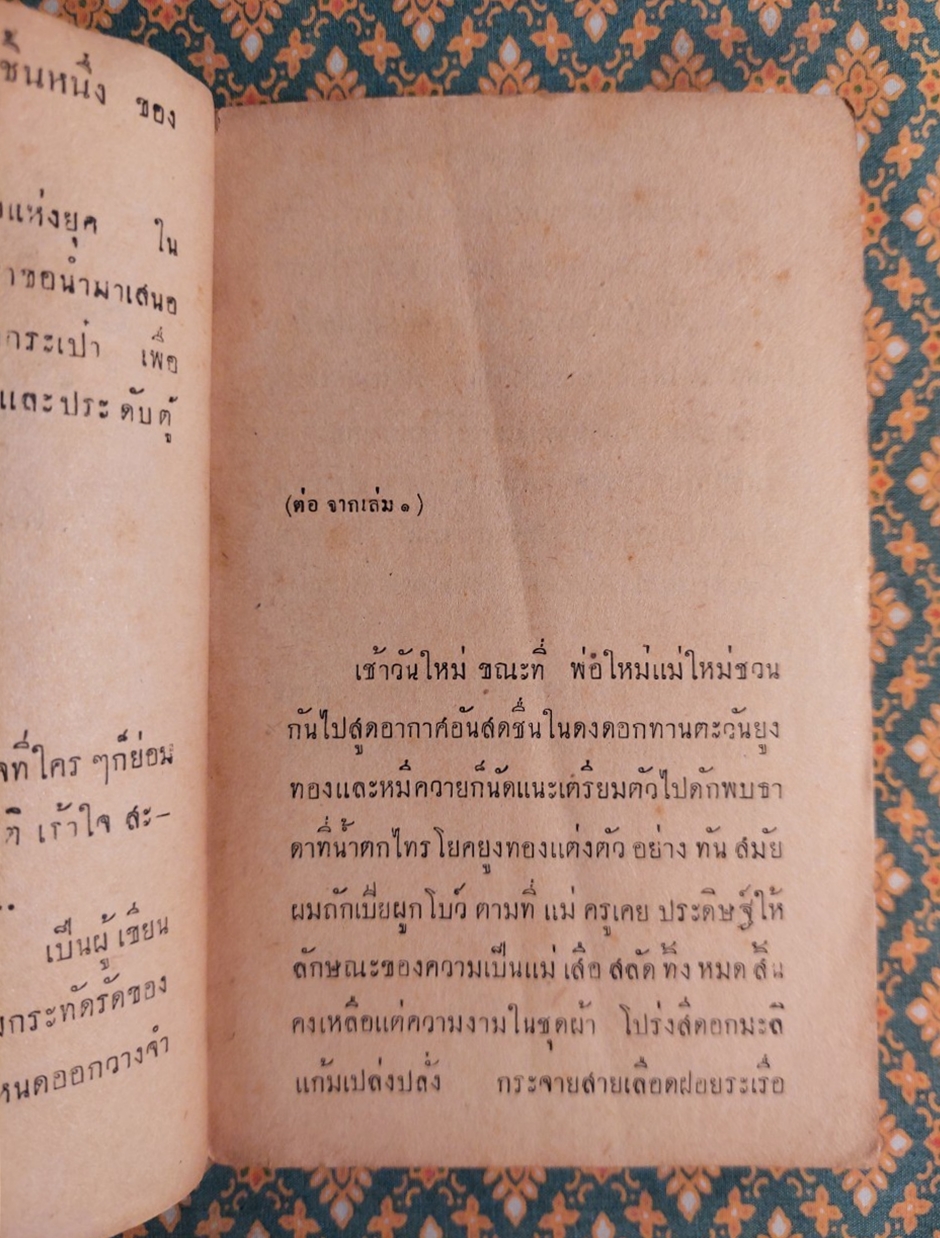 ขวัญใจจอมโจร (เล่ม 2)