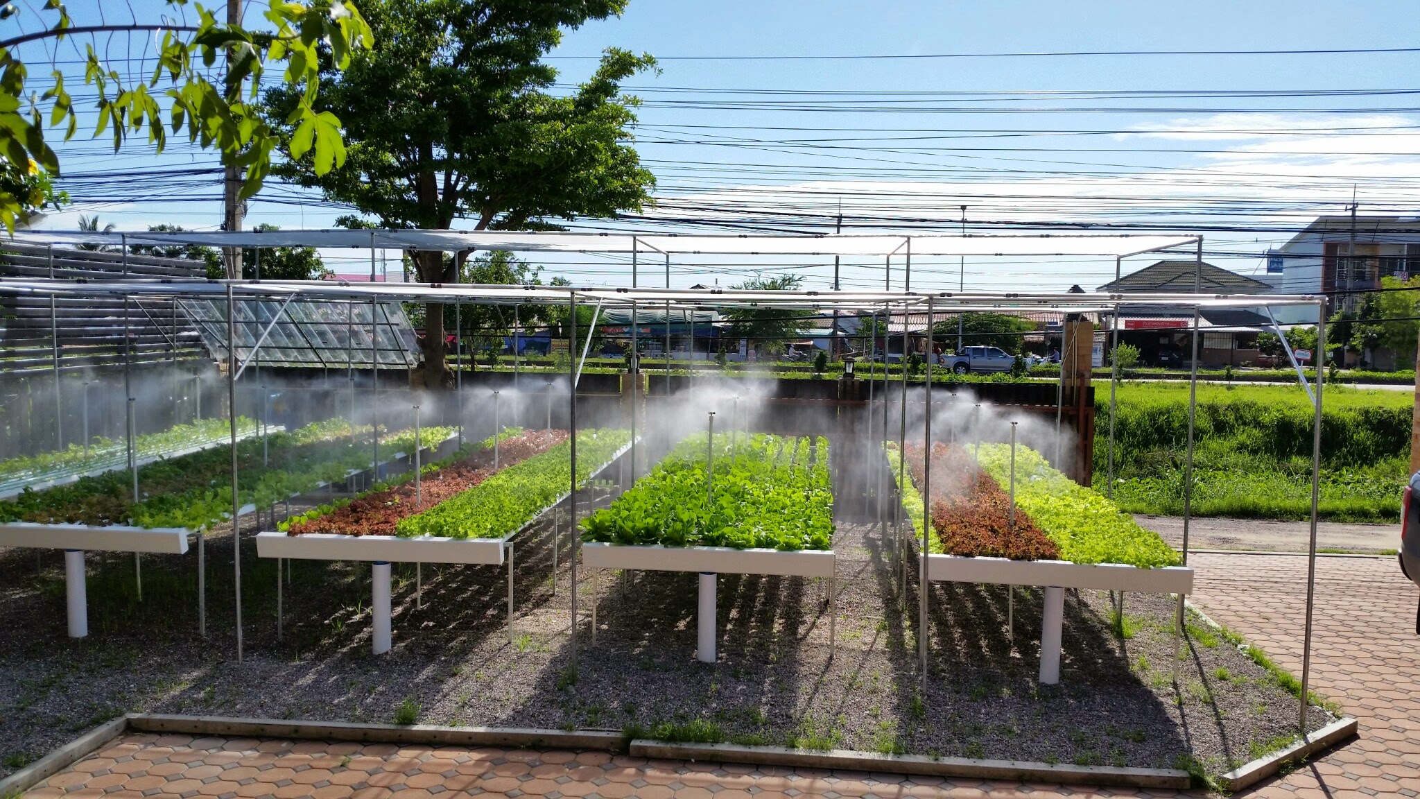 ร้านอาหาร A7 หัวหิน