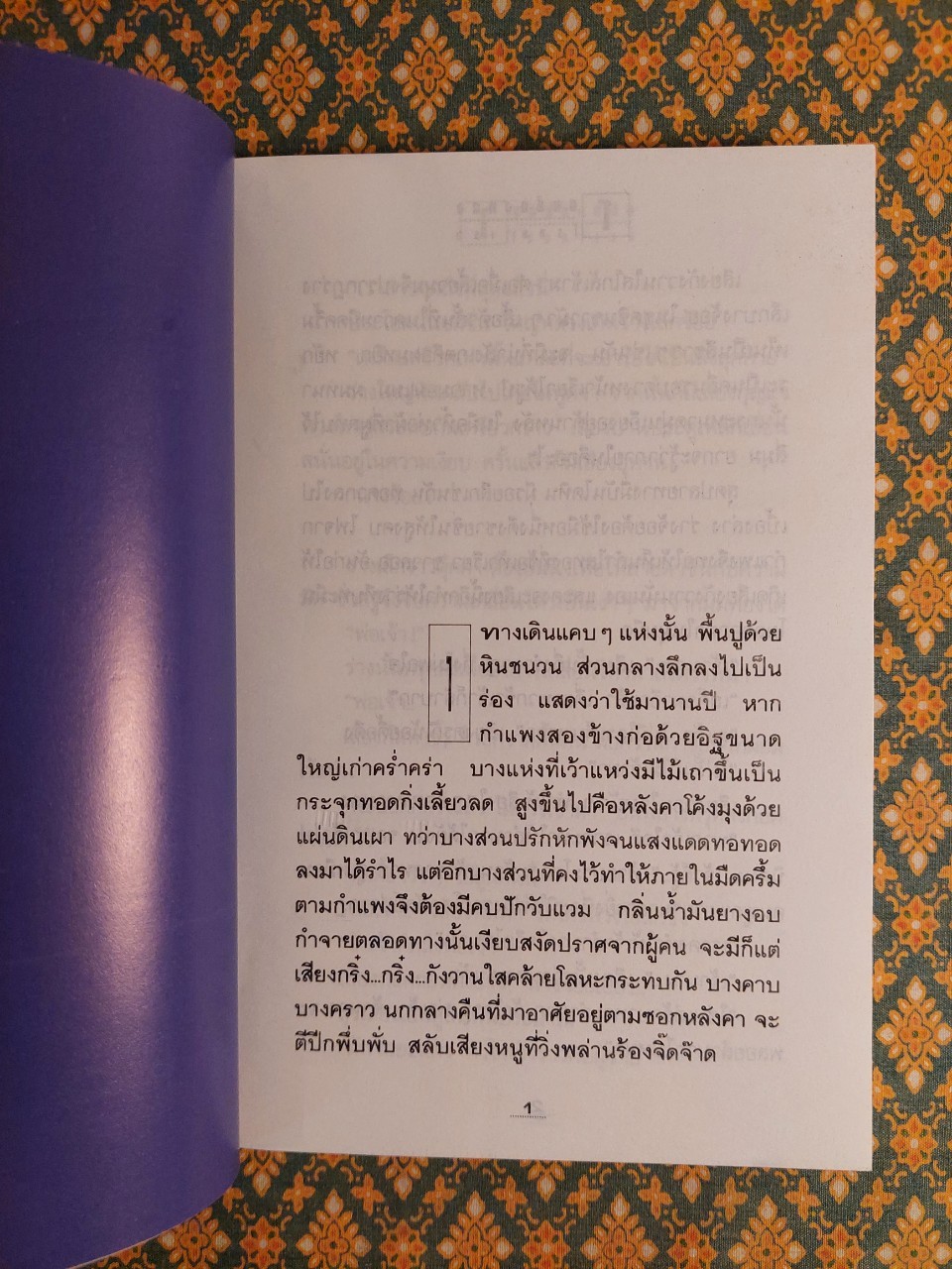 โสมส่องแสง (2 เล่มจบ)