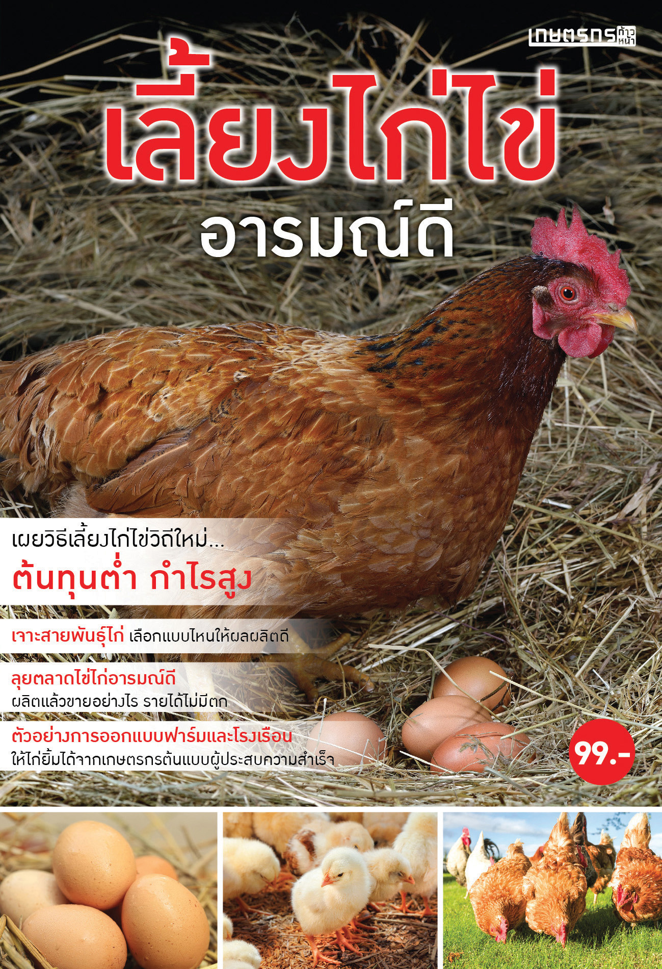 เลี้ยงไก่ไข่ อารมณ์ดี