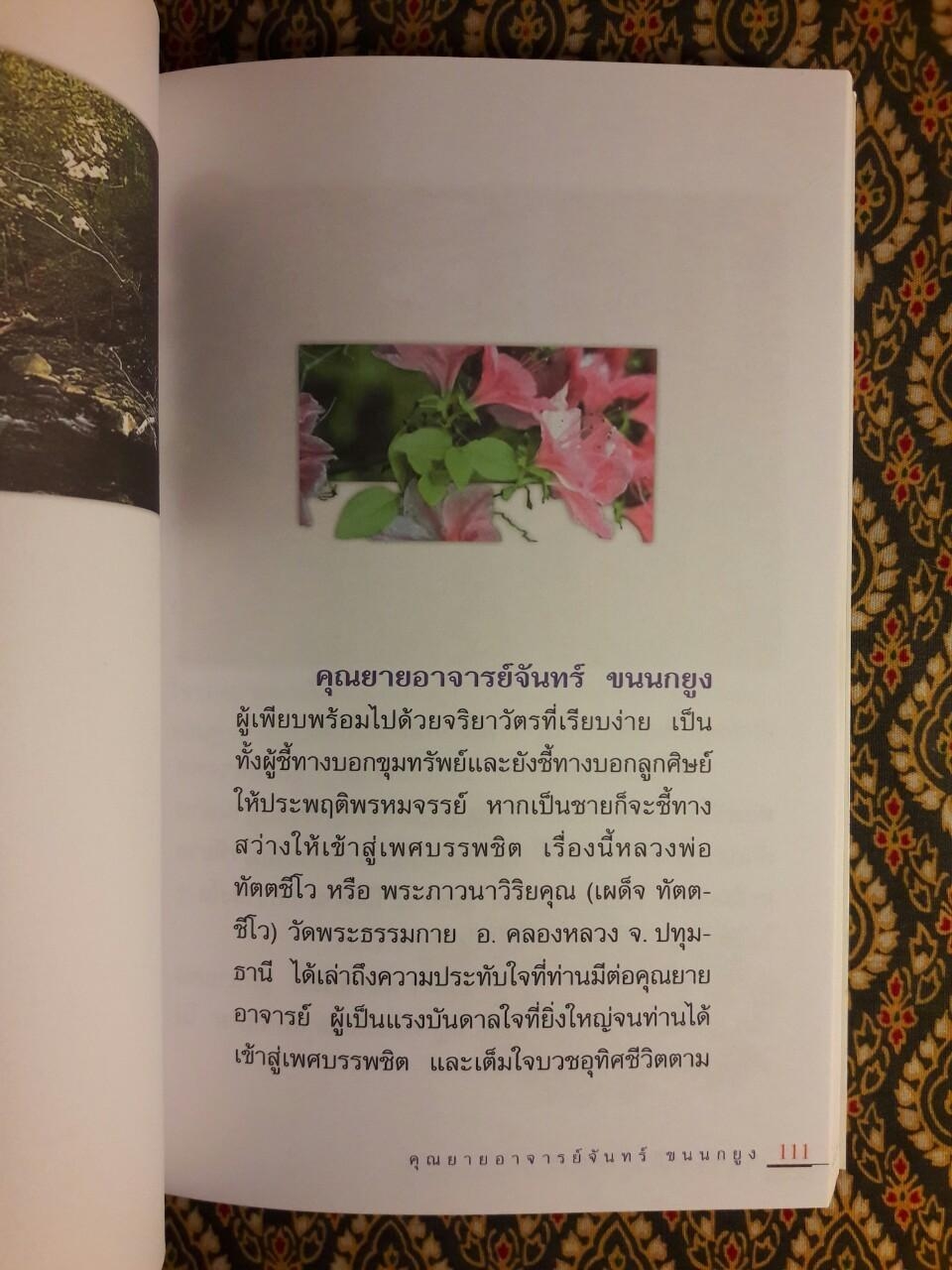 มหัศจรรย์ไดอารี่ คุณยายอาจารย์จันทร์ ขนนกยูง