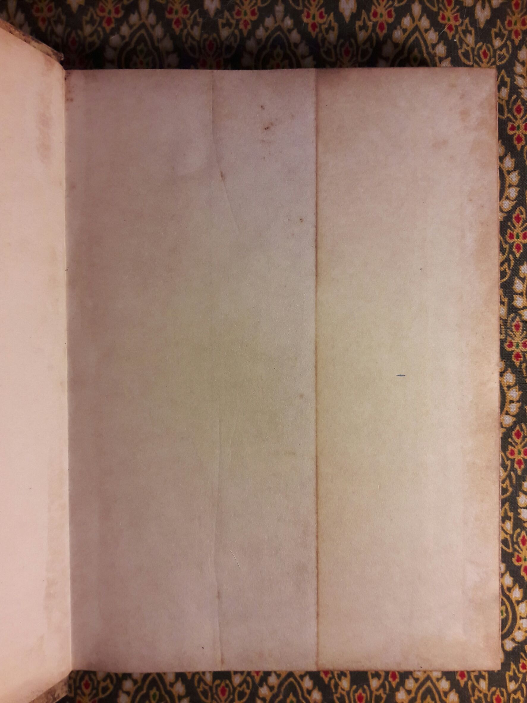 อัสฌาเทวี