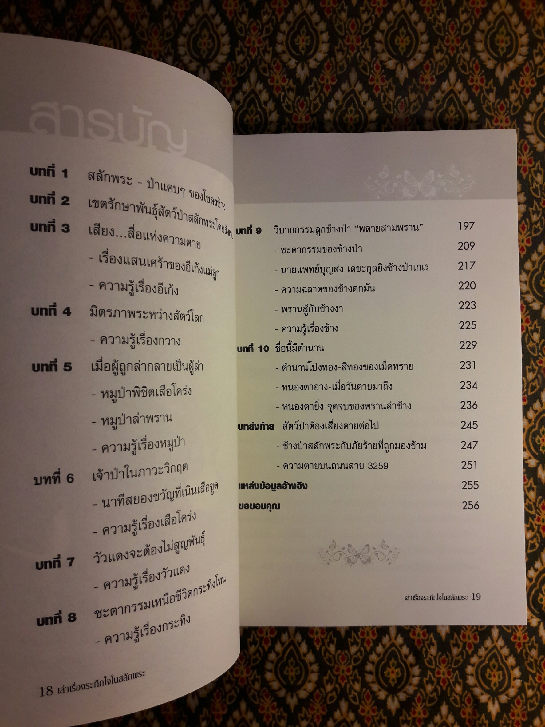 เล่าเรื่องระทึกใจในสลักพระ