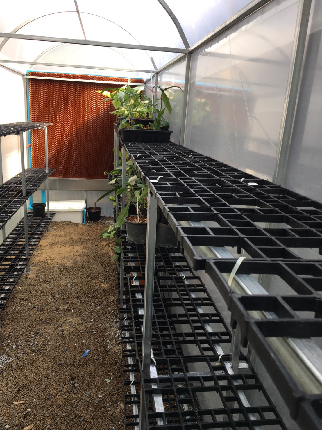 โรงเรือนระบบอีแวป (EVAP) สำเร็จรูป ขนาด 1.6 x 6 เมตร