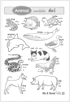 My English Book - คละปก