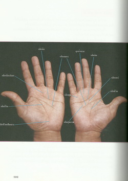 ลายมือลายแทงชีวิต