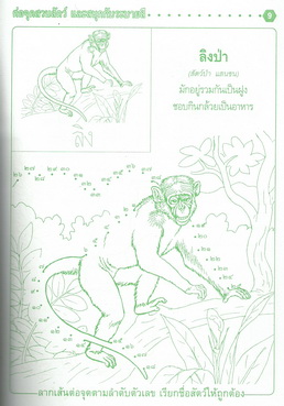 ต่อจุดสวนสัตว์