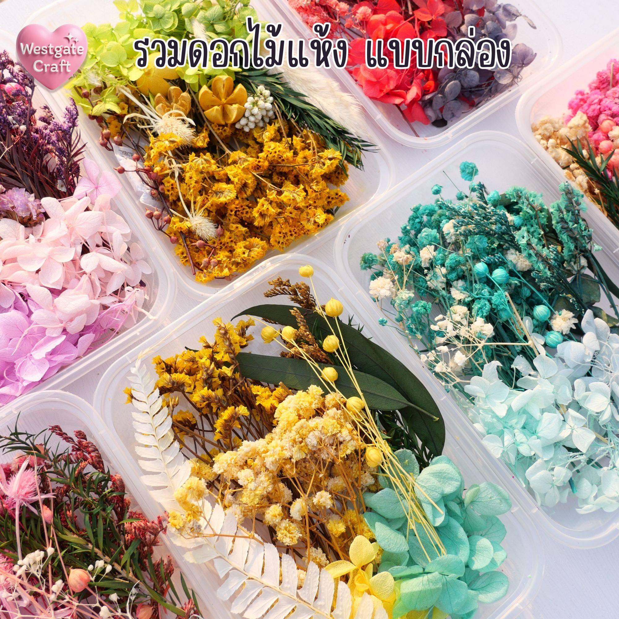 รวมดอกไม้แห้ง แบบกล่อง คละขนาด FW 01-09 , ดอกไม้แห้งจริง