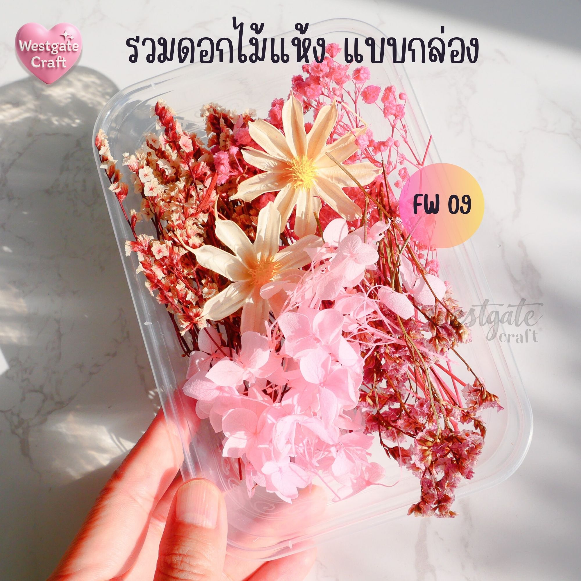 รวมดอกไม้แห้ง แบบกล่อง คละขนาด FW 01-09 , ดอกไม้แห้งจริง