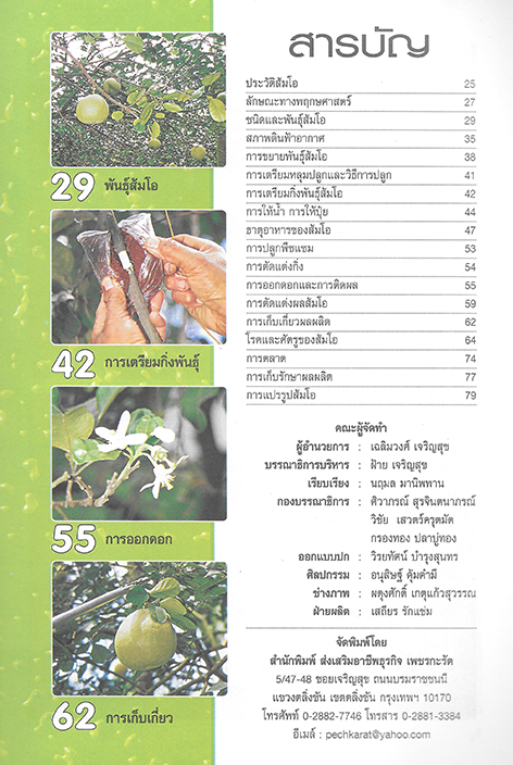 การเพาะปลูกและขยายพันธุ์ ส้มโอ