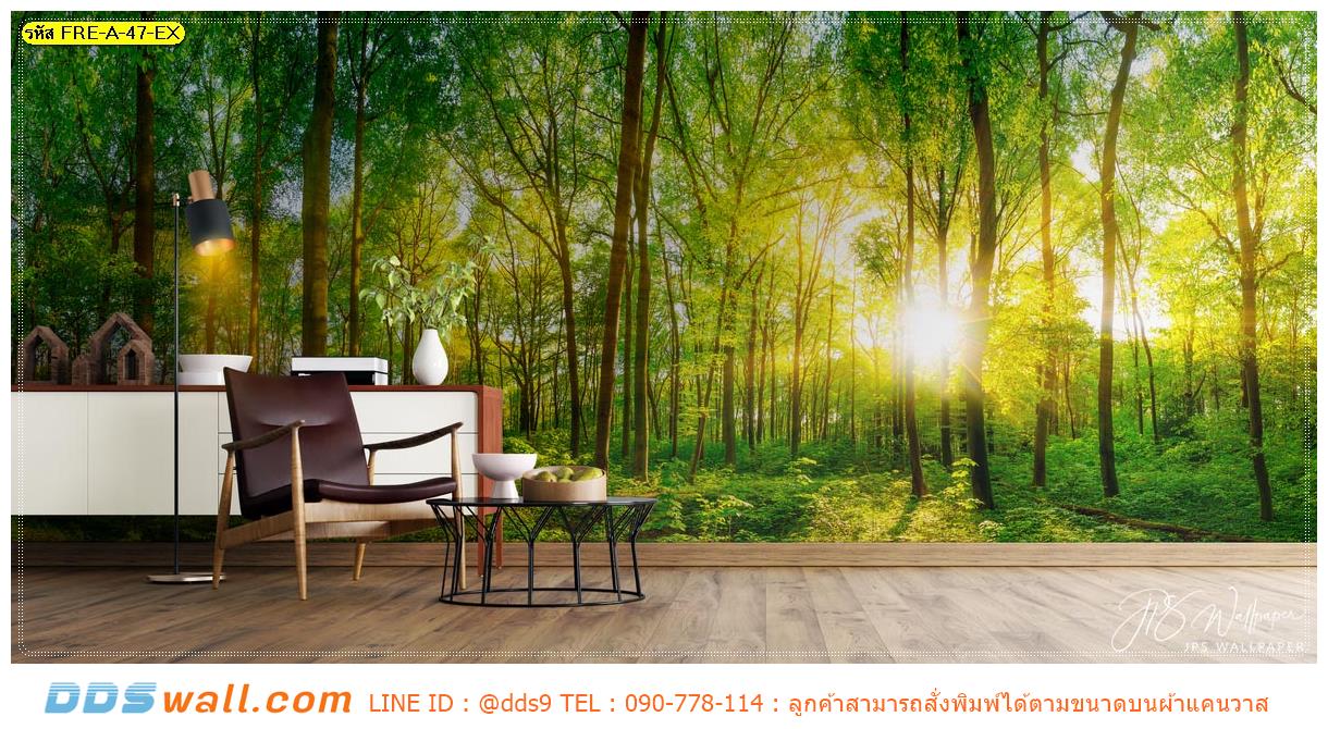 ภาพวิว ภาพศิลปะ สำหรับงานตกแต่งภายในบ้าน ลายป่าไม้และแสงแดด สดชื่น รื่นรมณ์
