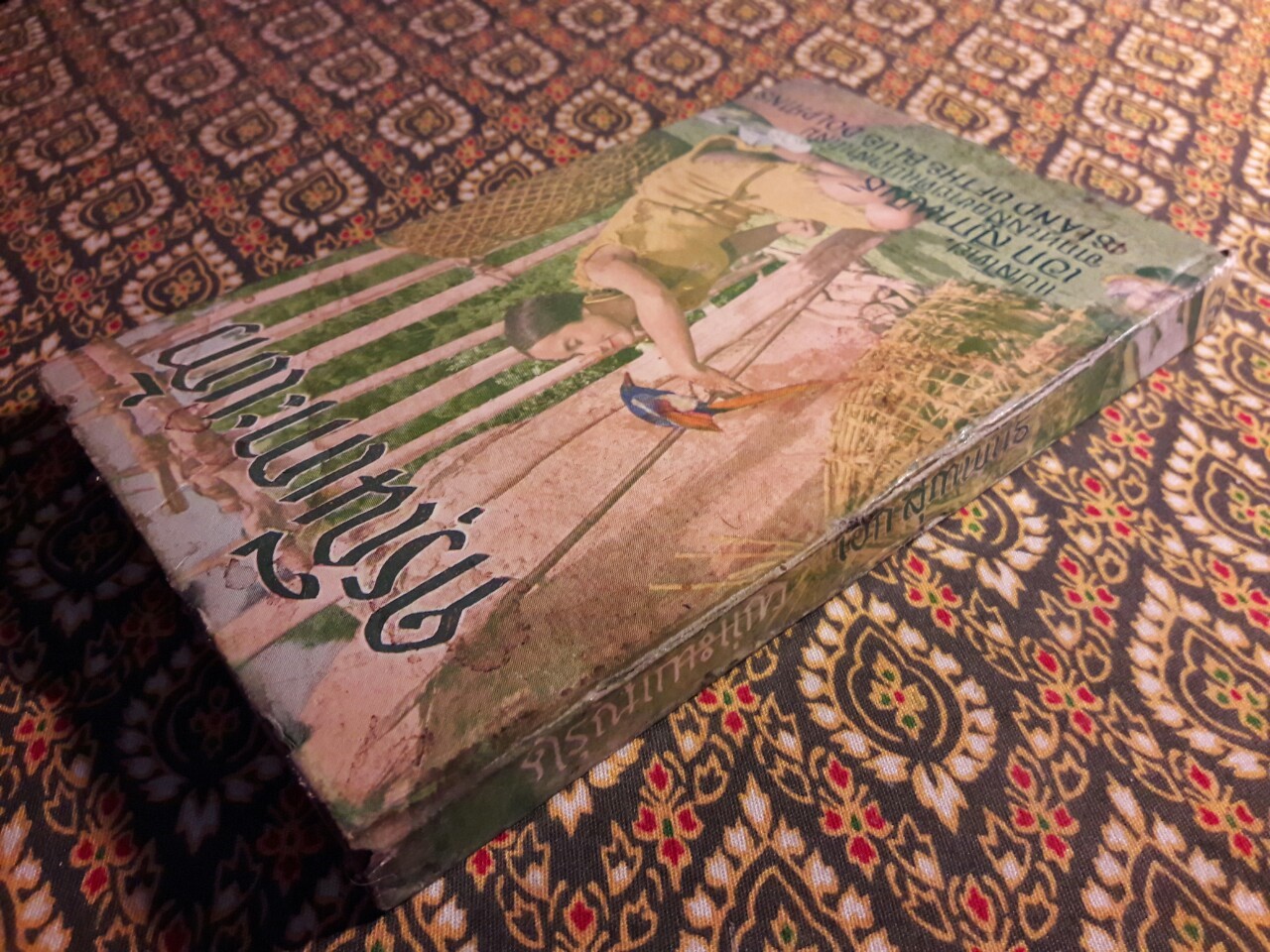 ดรุณีเกาะแก้ว (Island of The Blue Dolphins)