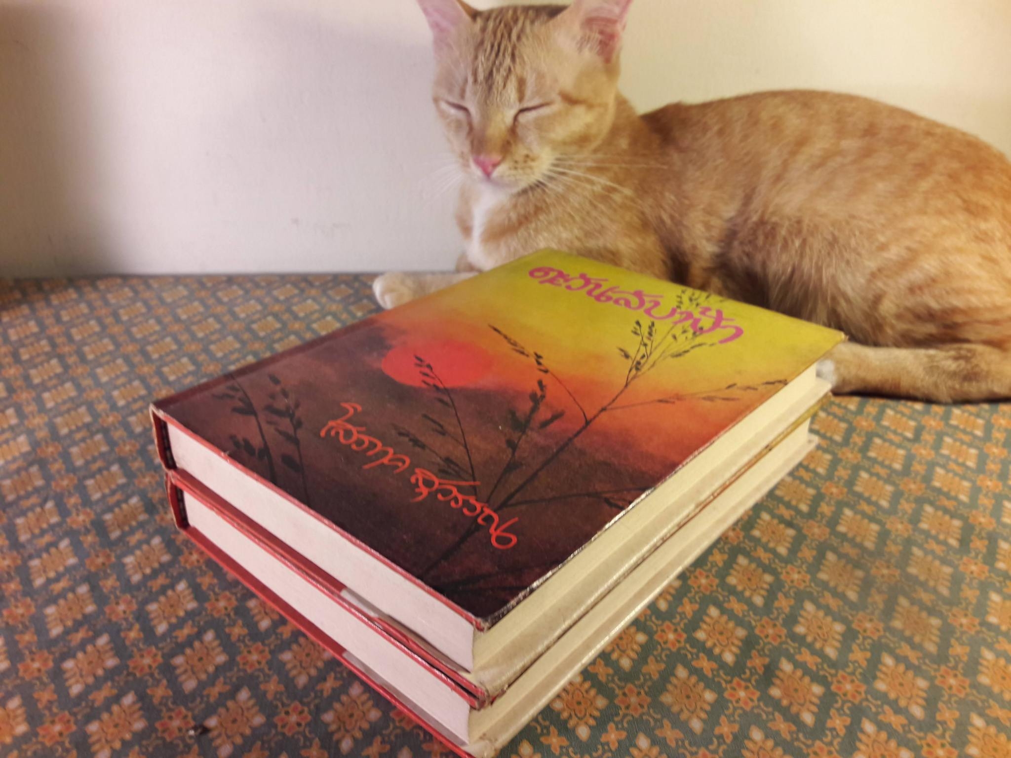 ตะวันลับฟ้า (2 เล่มจบ)