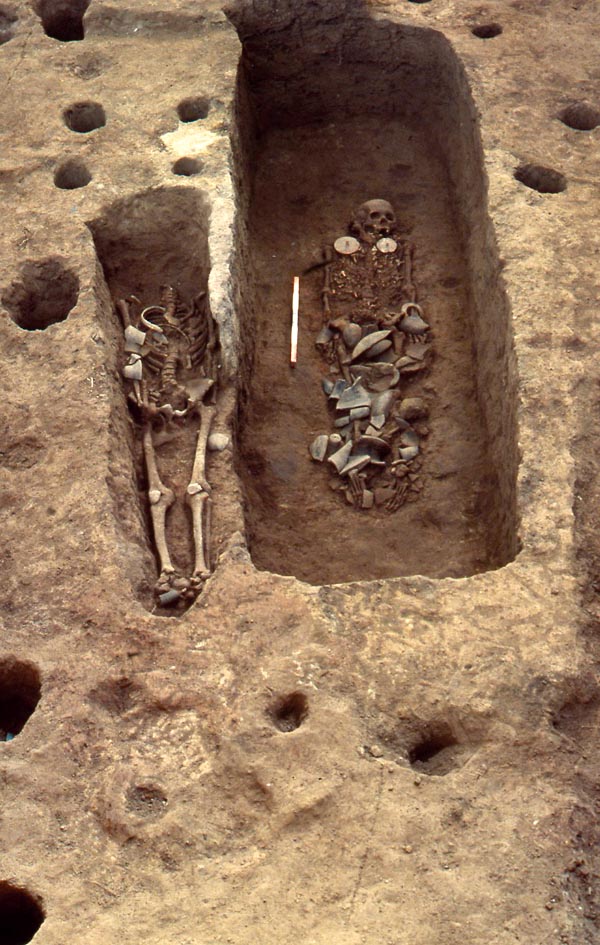 RiverBooks หนังสือประวัติศาสตร์ : Digging Deep