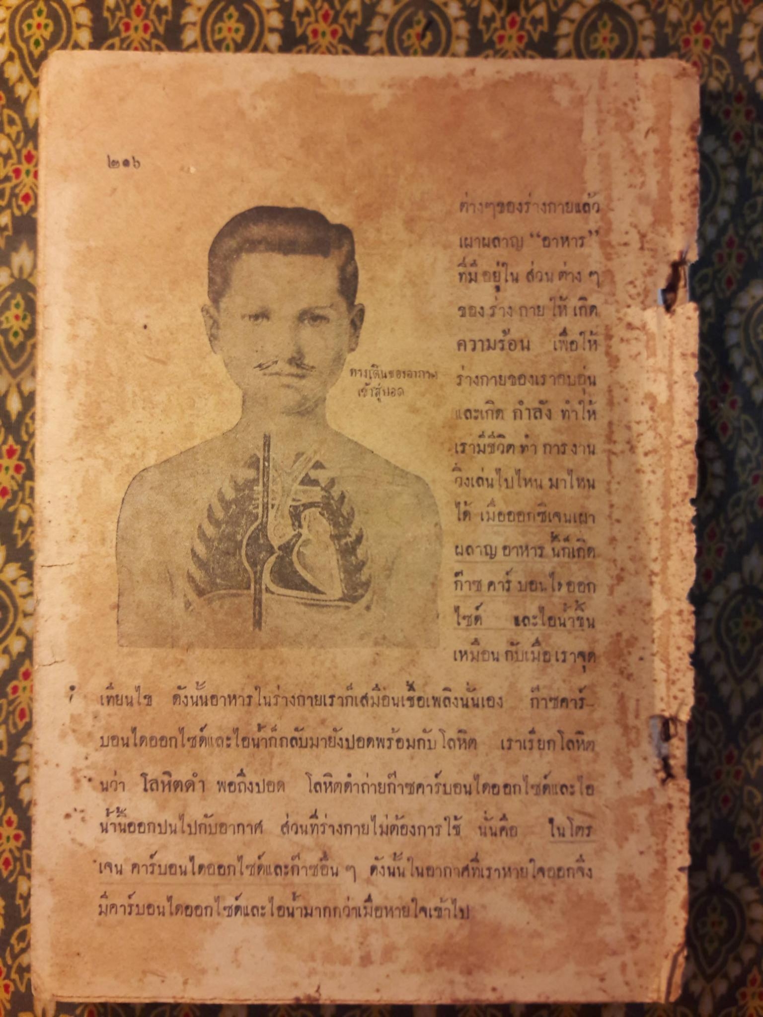 วิทยาศาสตร์ ชั้นมัธยมปีที่ 1 "สินค้ามีตำหนิ"