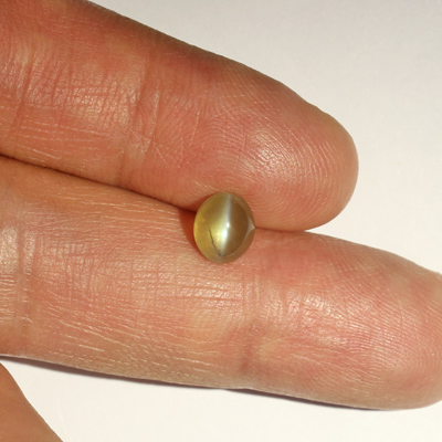 คริสโซเบริลตาแมวหรือไพฑูรย์ (Cat's eye Chrysoberyl) 2.17 กะรัต รูปร่างดี จากศรีลังกา