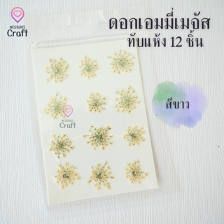 ดอกเอมมี่เมจัส 12 ดอก ดอกไม้แห้งทับ