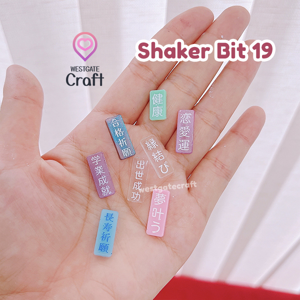 แม่พิมพ์เรซิ่น Shaker Bit 19 Mold