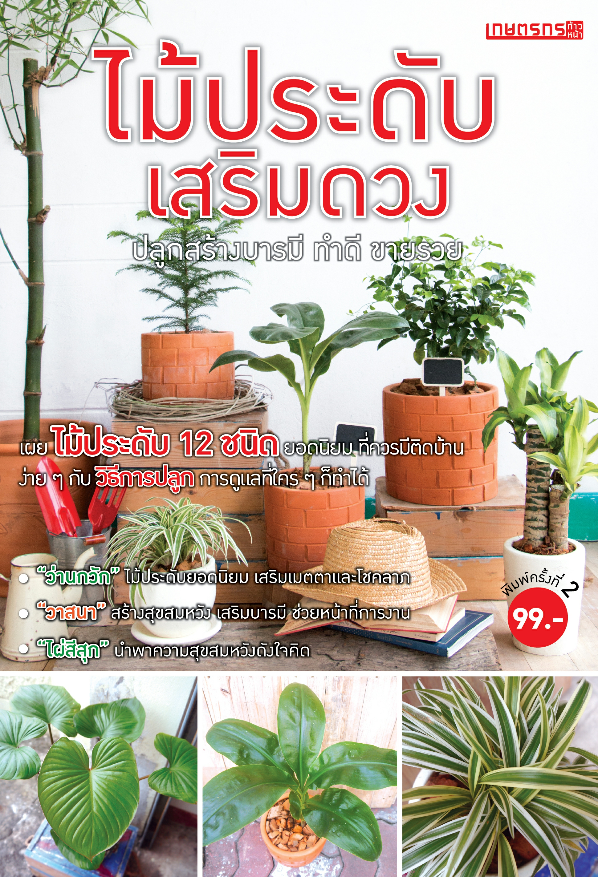ไม้ประดับเสริมดวง