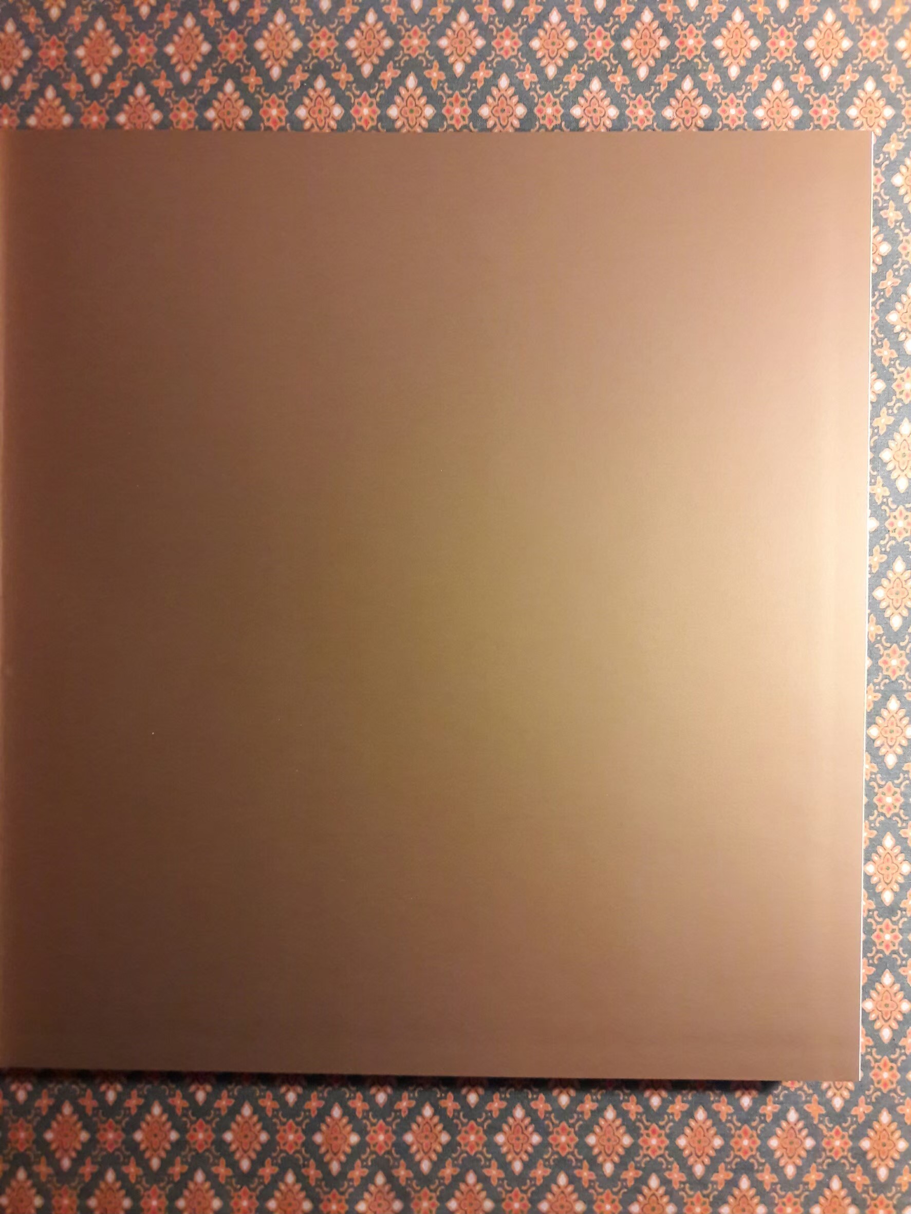 แสงแห่งแผ่นดิน